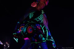 Photos by Patrice Ward (135/155)